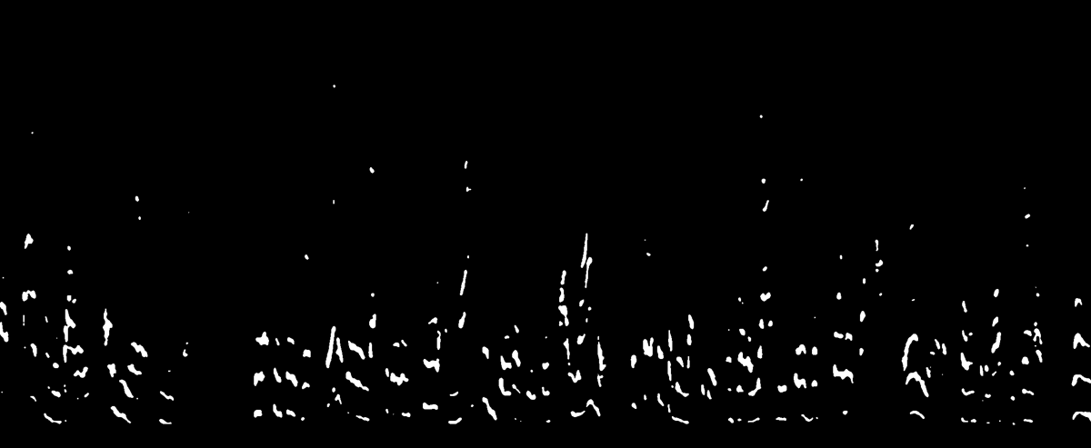White areas contain most valuable acoustic information we want to preserve